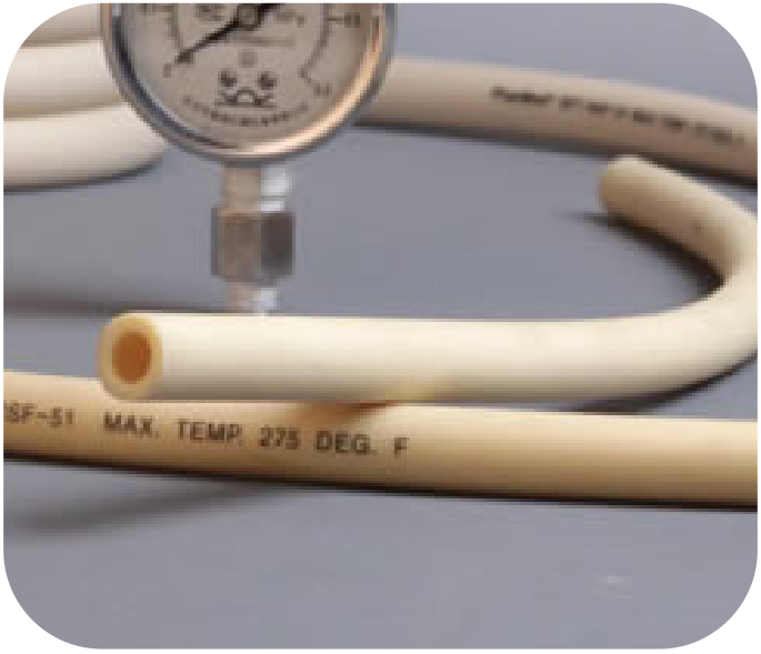 1558488941931221.png BPT.png